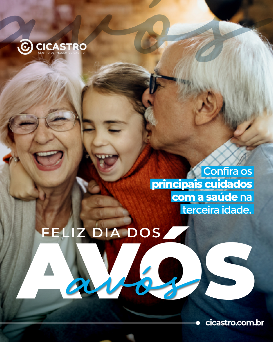 Publicação 3